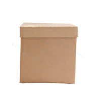 Eco Coolbox 315 x 235 x 265 mm